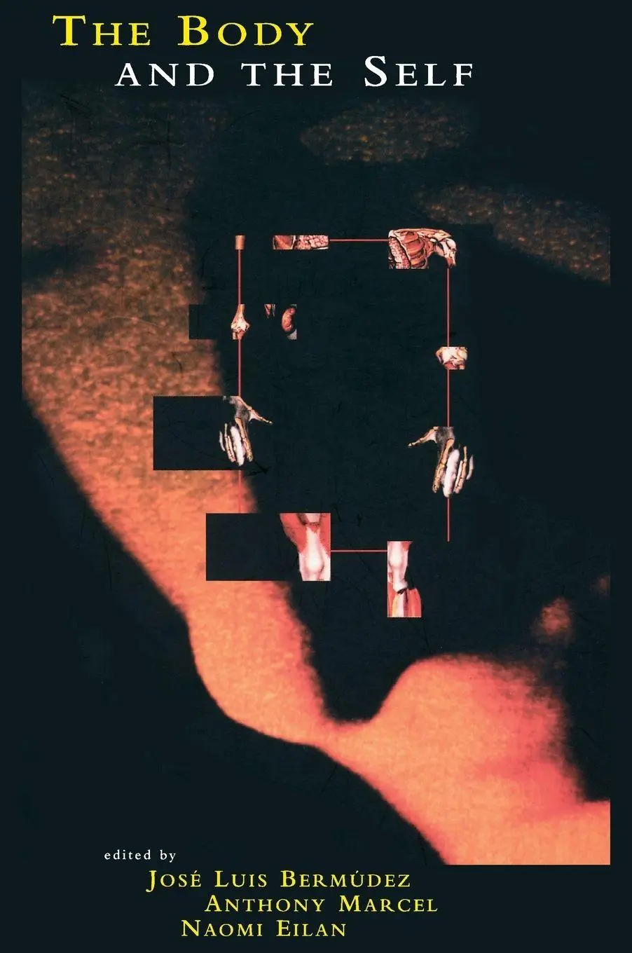 Cover: 9780262522489 | The Body and the Self | Jose Luis Bermudez (u. a.) | Taschenbuch