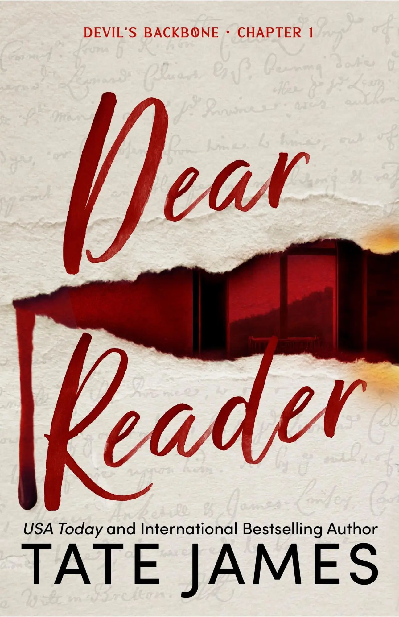 Cover: 9781464242489 | Dear Reader | The First in A Dark Academia Why Choose Romance Trilogy