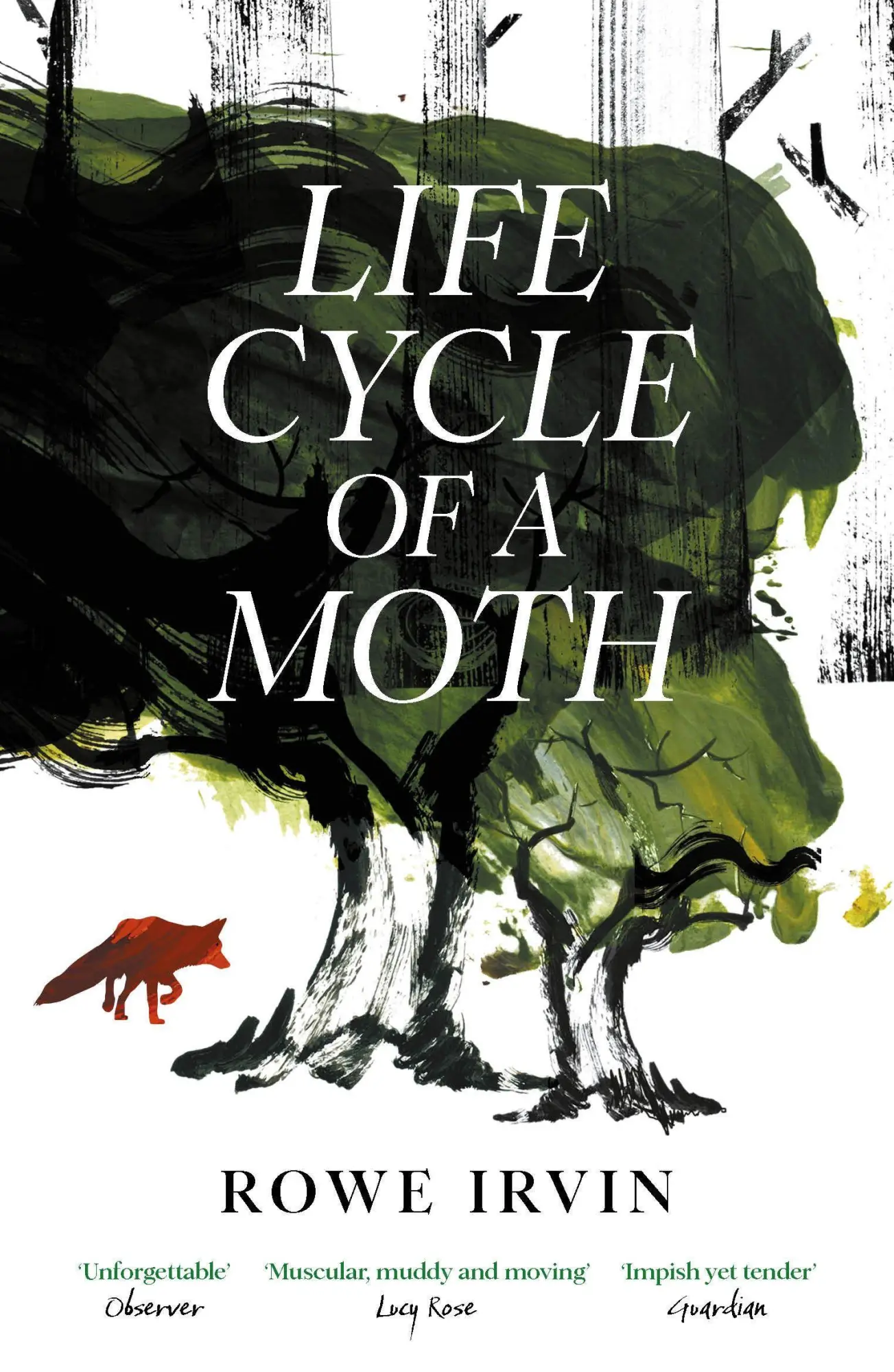 Cover: 9781837262489 | Life Cycle of a Moth | Rowe Irvin | Taschenbuch | 320 S. | Englisch