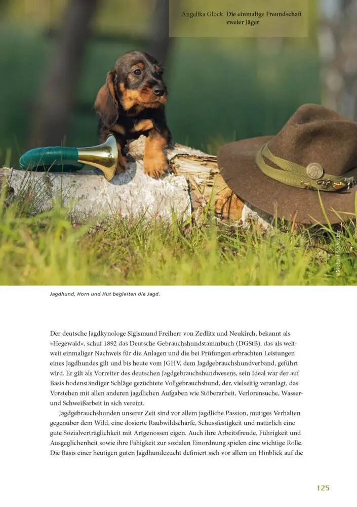 Bild: 9783275022489 | Lust auf Jagd | Argumente - Standpunkte - Perspektiven | Volker Pesch
