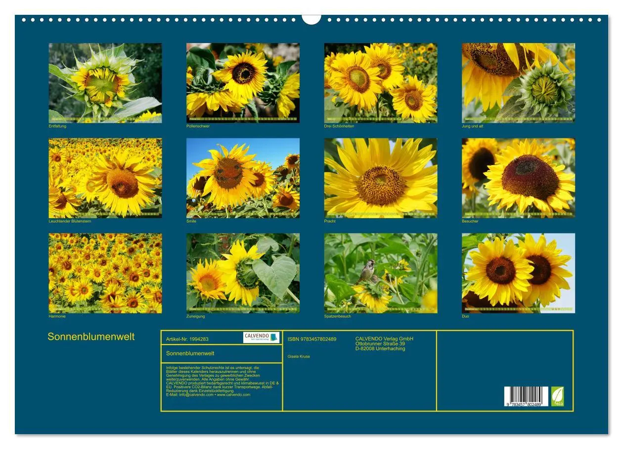 Bild: 9783457802489 | Sonnenblumenwelt (Wandkalender 2026 DIN A2 quer), CALVENDO...