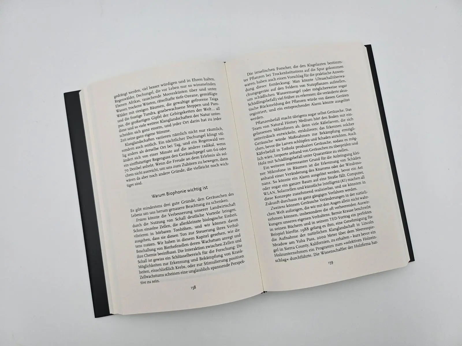 Bild: 9783492072489 | Alles ist Klang | Julian Treasure | Buch | 352 S. | Deutsch | 2025