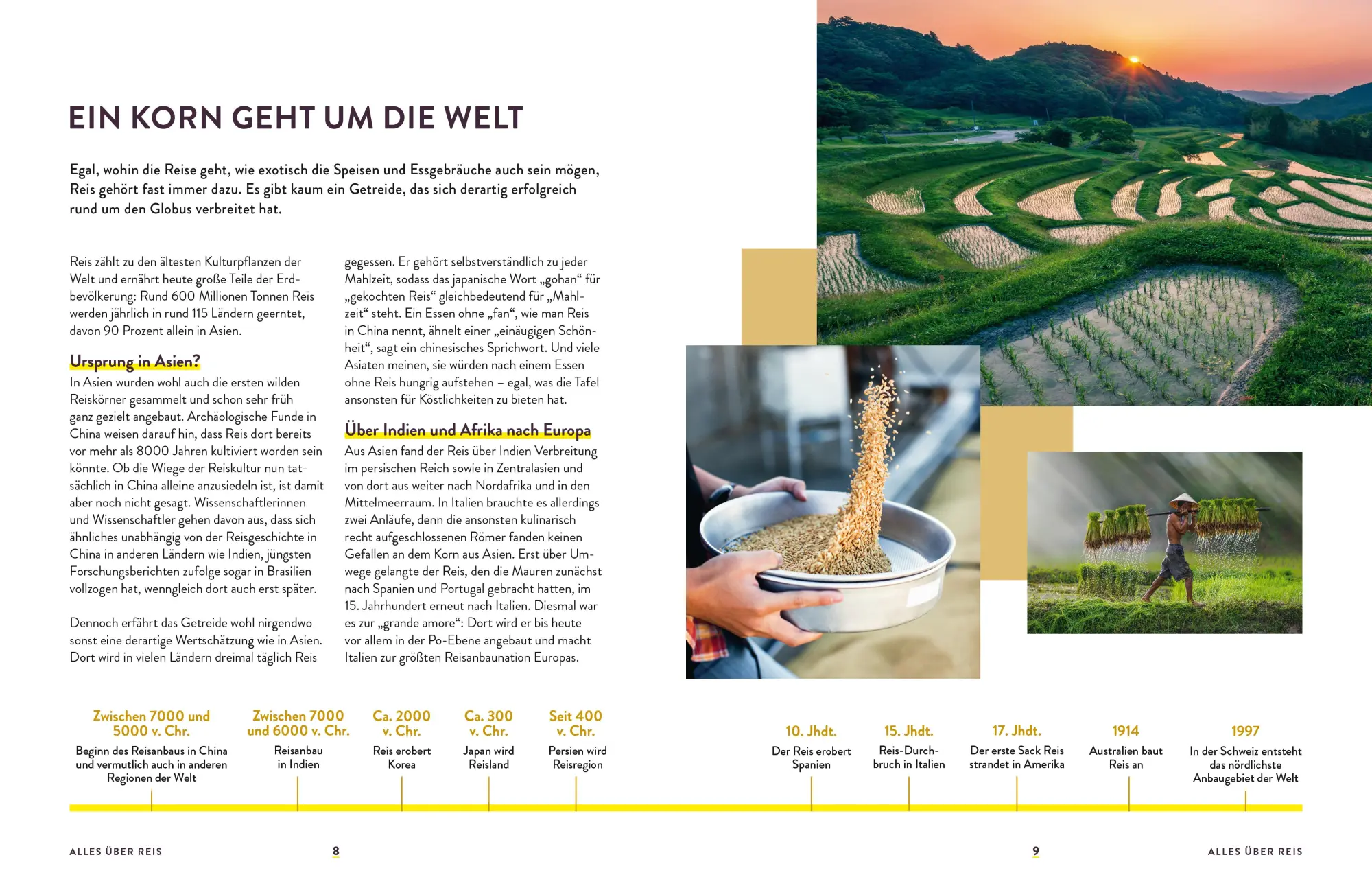 Bild: 9783965842489 | Reis | Eine Weltreise in Rezepten | Martin Kintrup (u. a.) | Buch | ZS