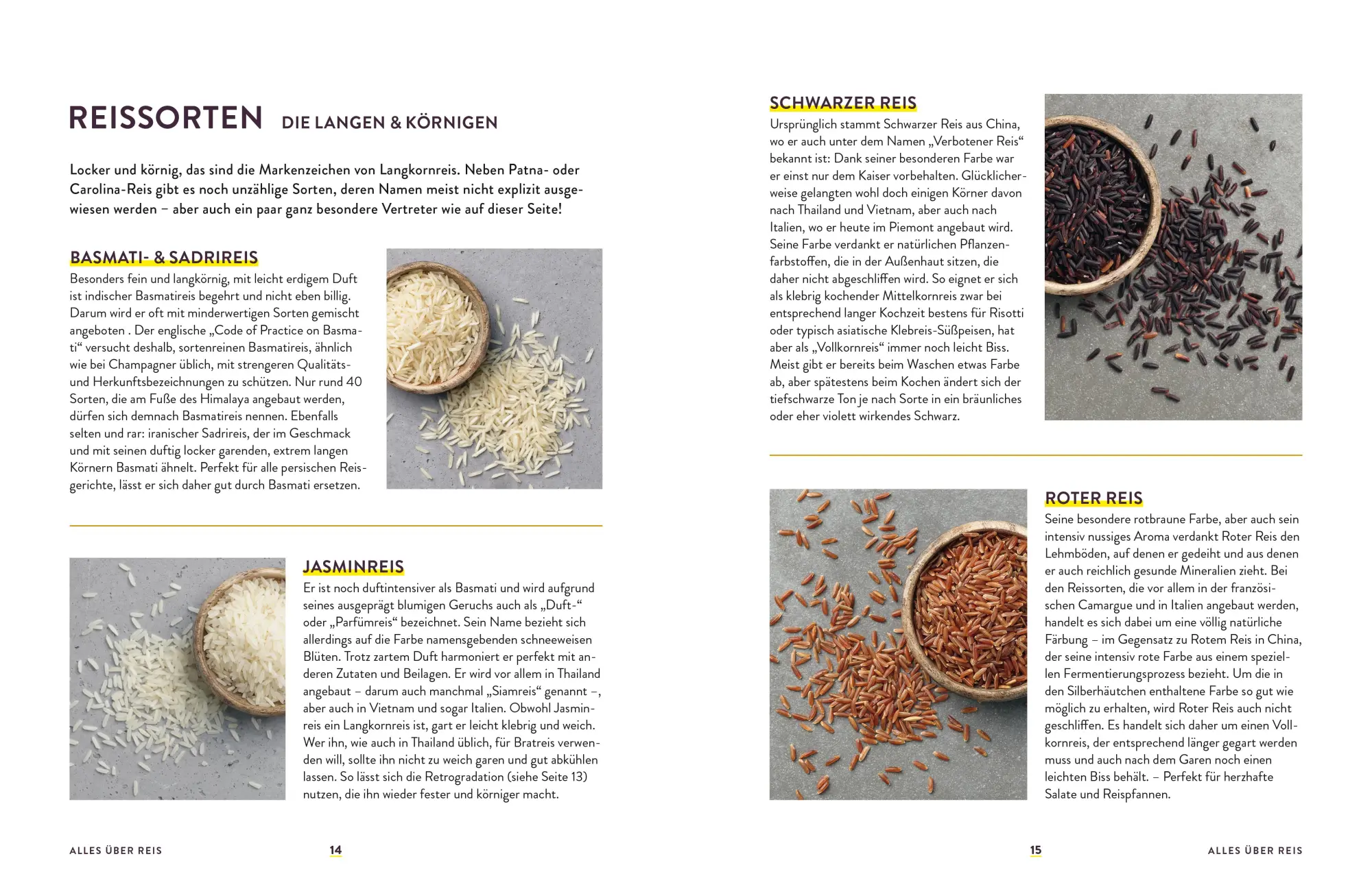 Bild: 9783965842489 | Reis | Eine Weltreise in Rezepten | Martin Kintrup (u. a.) | Buch | ZS