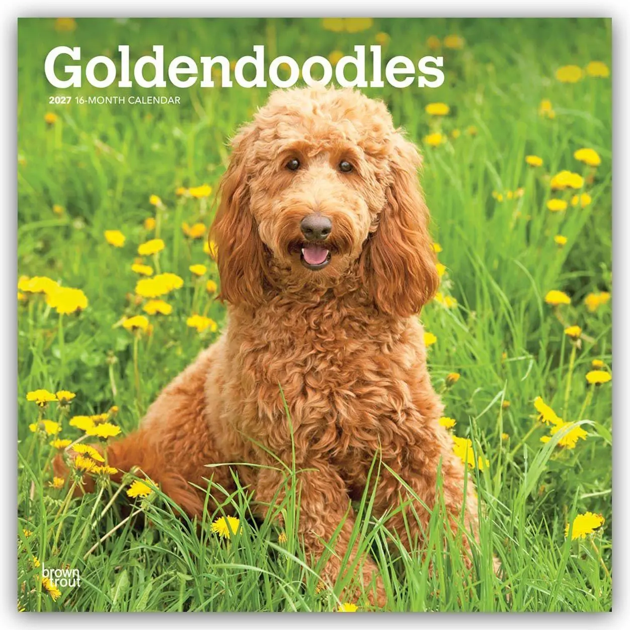 Cover: 9798330712489 | Goldendoodles - Goldendoodle 2027 - 16-Monatskalender | Publishers