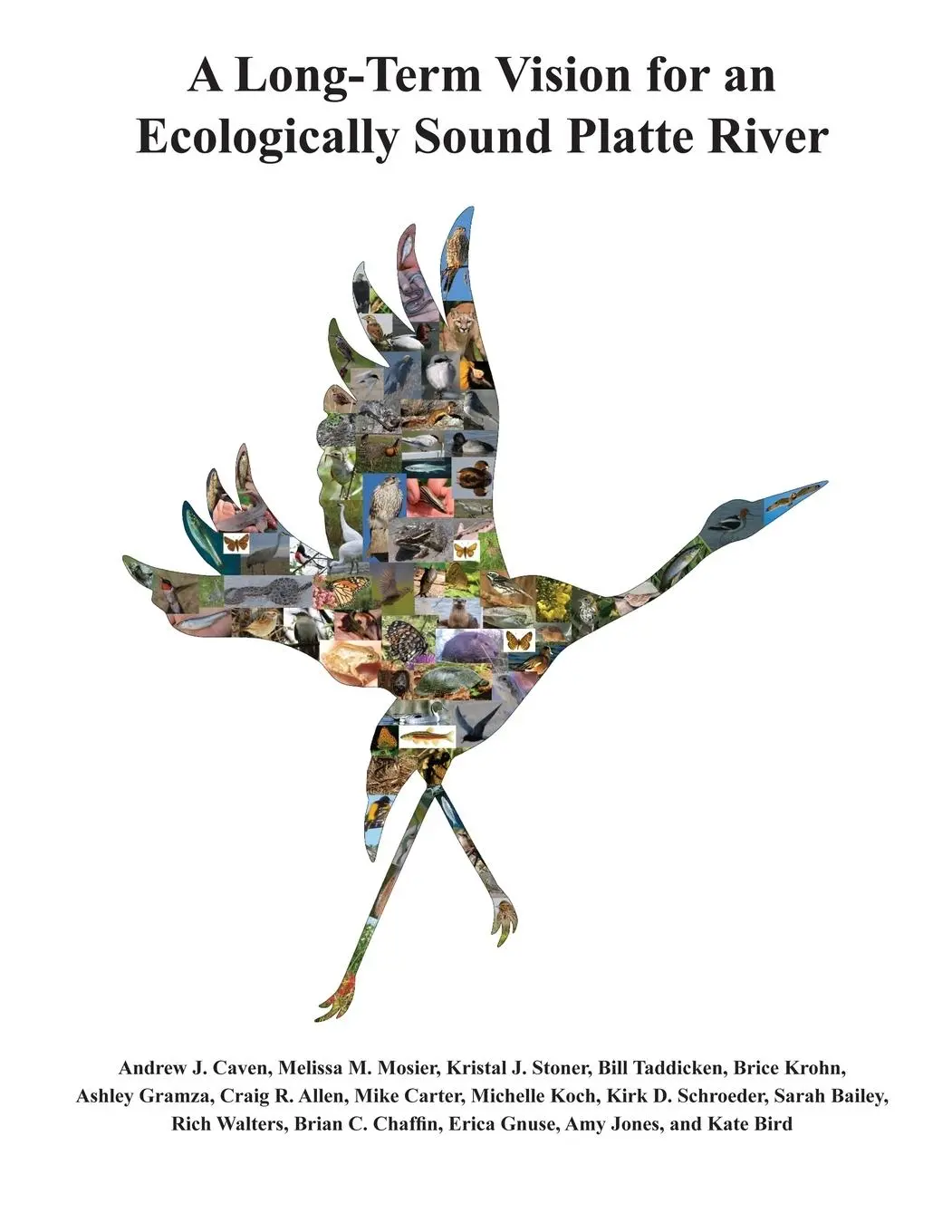 Cover: 9781609622589 | A Long-Term Vision for an Ecologically Sound Platte River | Buch