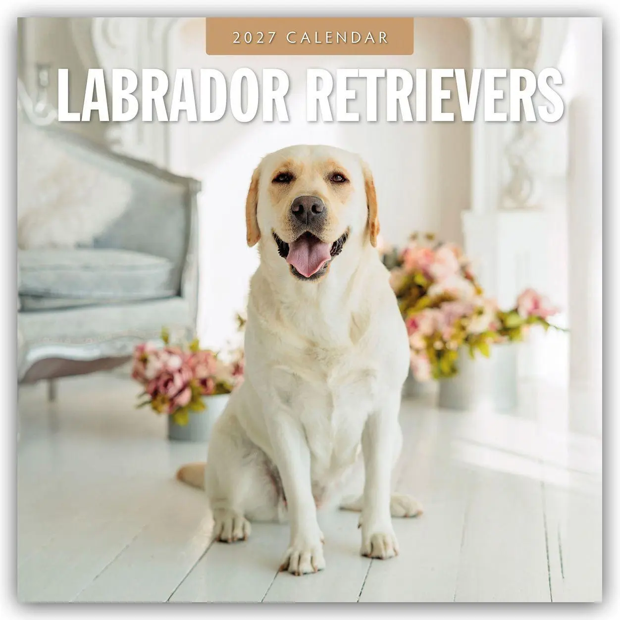 Cover: 9781837012589 | Labrador Retrievers - Labrador Retriever 2027 - 16-Monatskalender