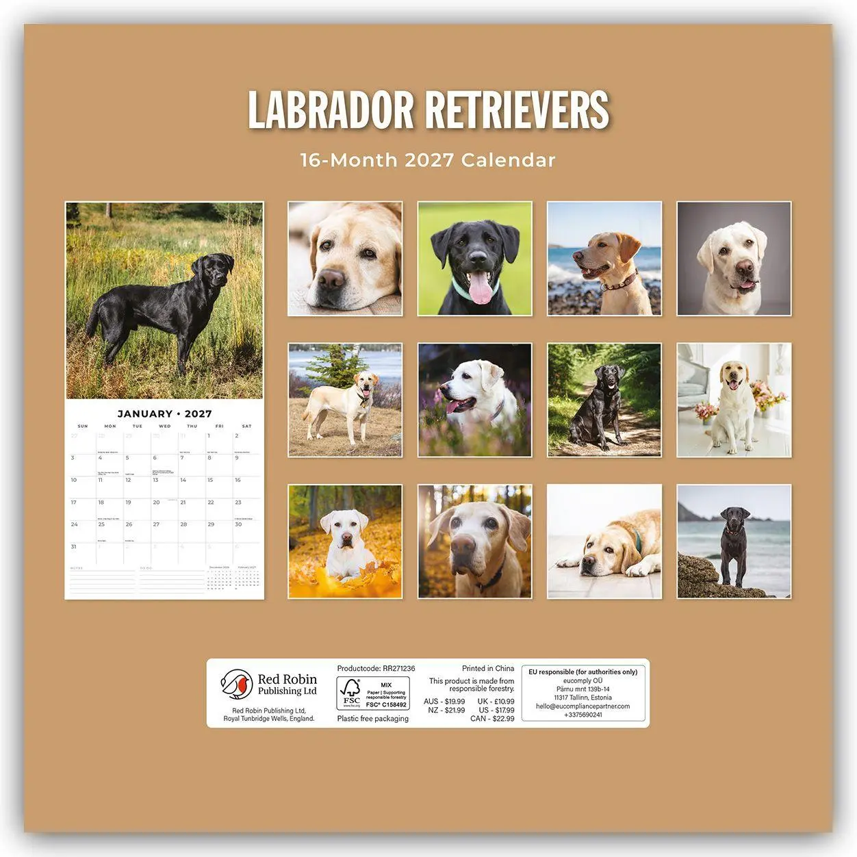Rückseite: 9781837012589 | Labrador Retrievers - Labrador Retriever 2027 - 16-Monatskalender