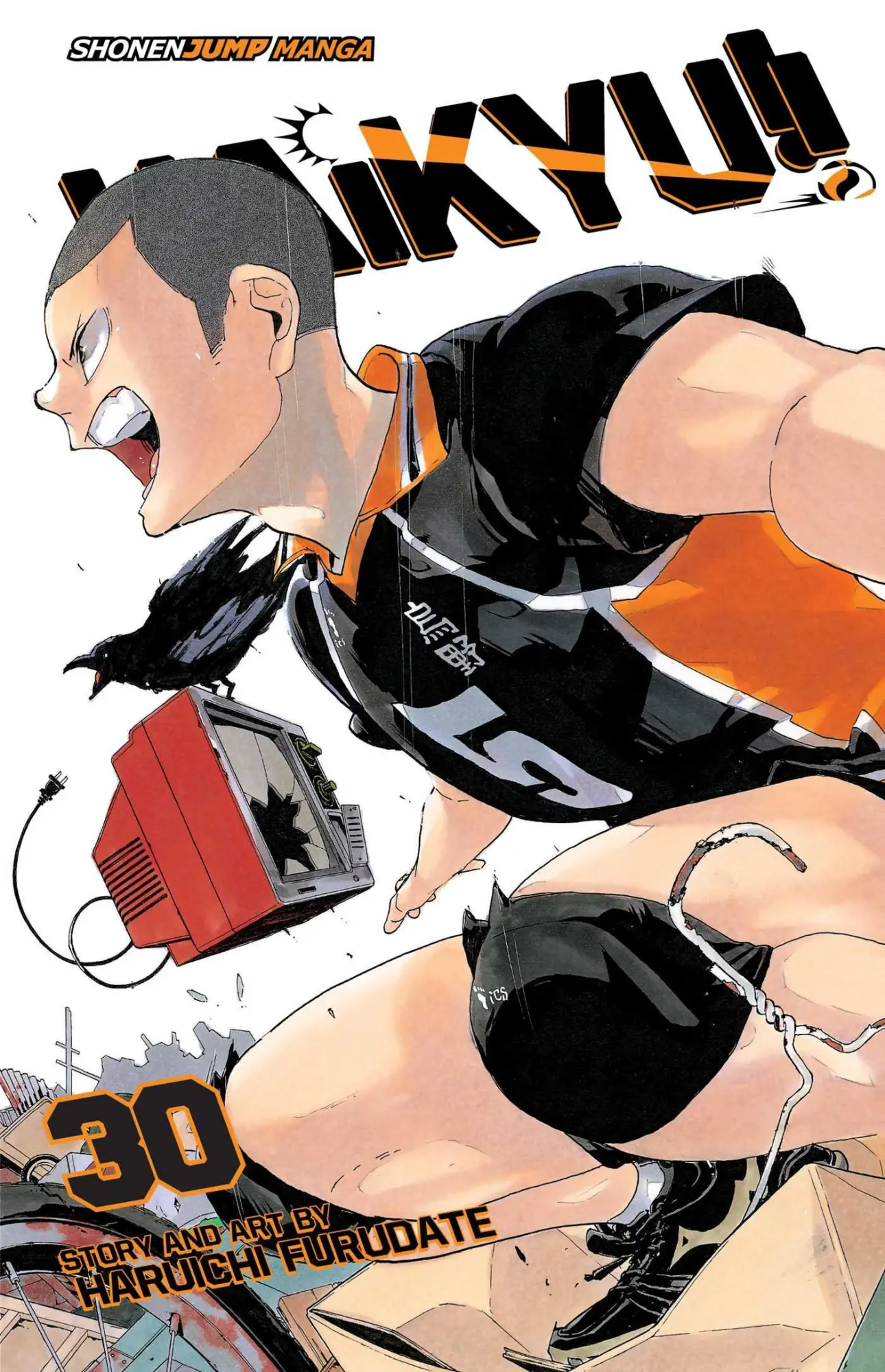 Cover: 9781974702589 | Haikyu!!, Vol. 30 | Broken Heart | Haruichi Furudate | Taschenbuch