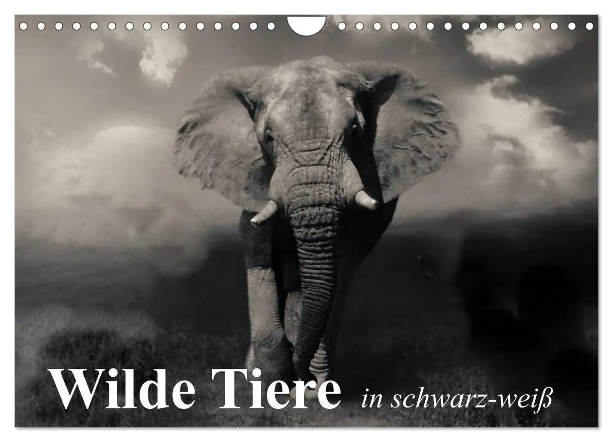 Cover: 9783516052589 | Wilde Tiere in schwarz-weiß (Wandkalender 2026 DIN A4 quer),...