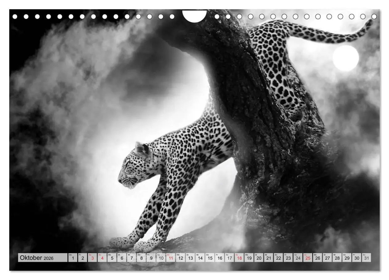 Bild: 9783516052589 | Wilde Tiere in schwarz-weiß (Wandkalender 2026 DIN A4 quer),...