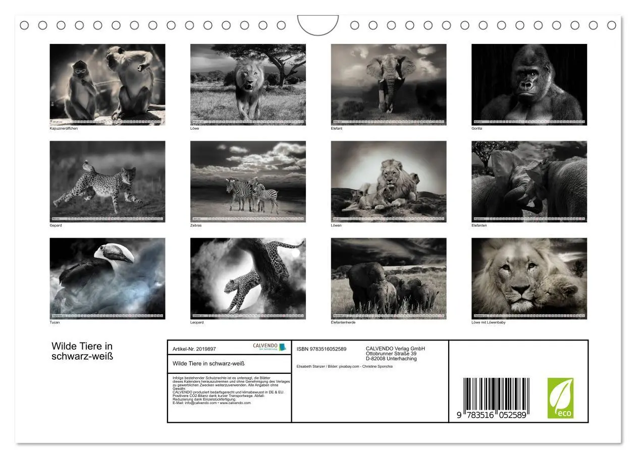 Bild: 9783516052589 | Wilde Tiere in schwarz-weiß (Wandkalender 2026 DIN A4 quer),...