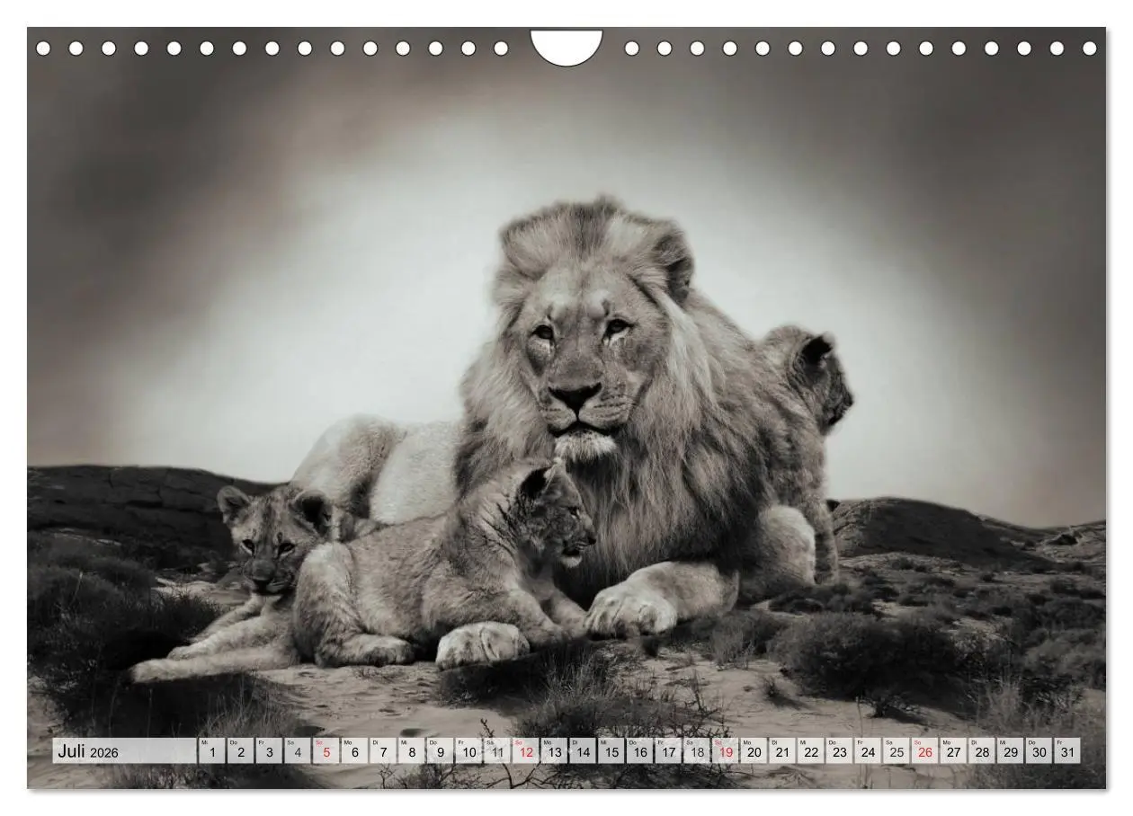 Bild: 9783516052589 | Wilde Tiere in schwarz-weiß (Wandkalender 2026 DIN A4 quer),...