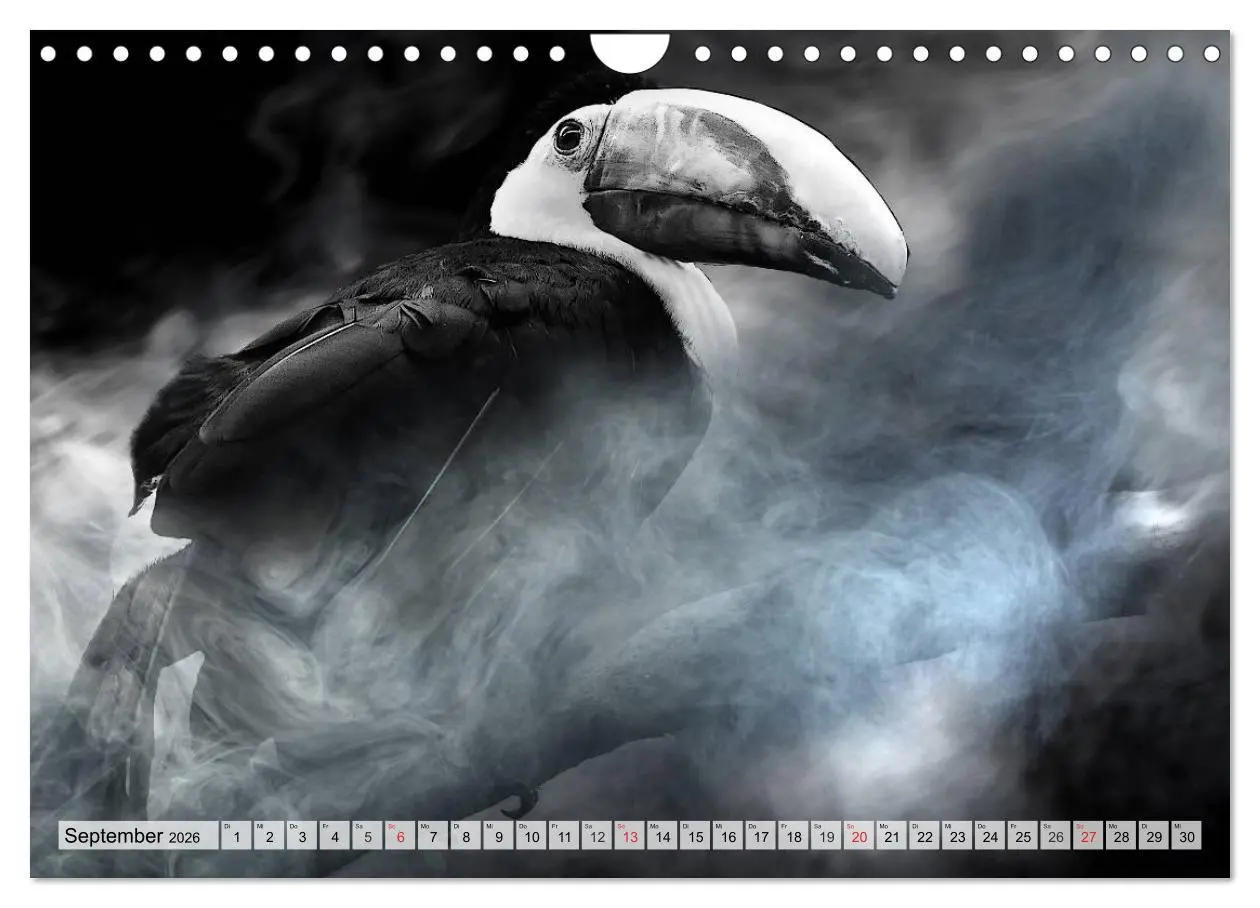 Bild: 9783516052589 | Wilde Tiere in schwarz-weiß (Wandkalender 2026 DIN A4 quer),...