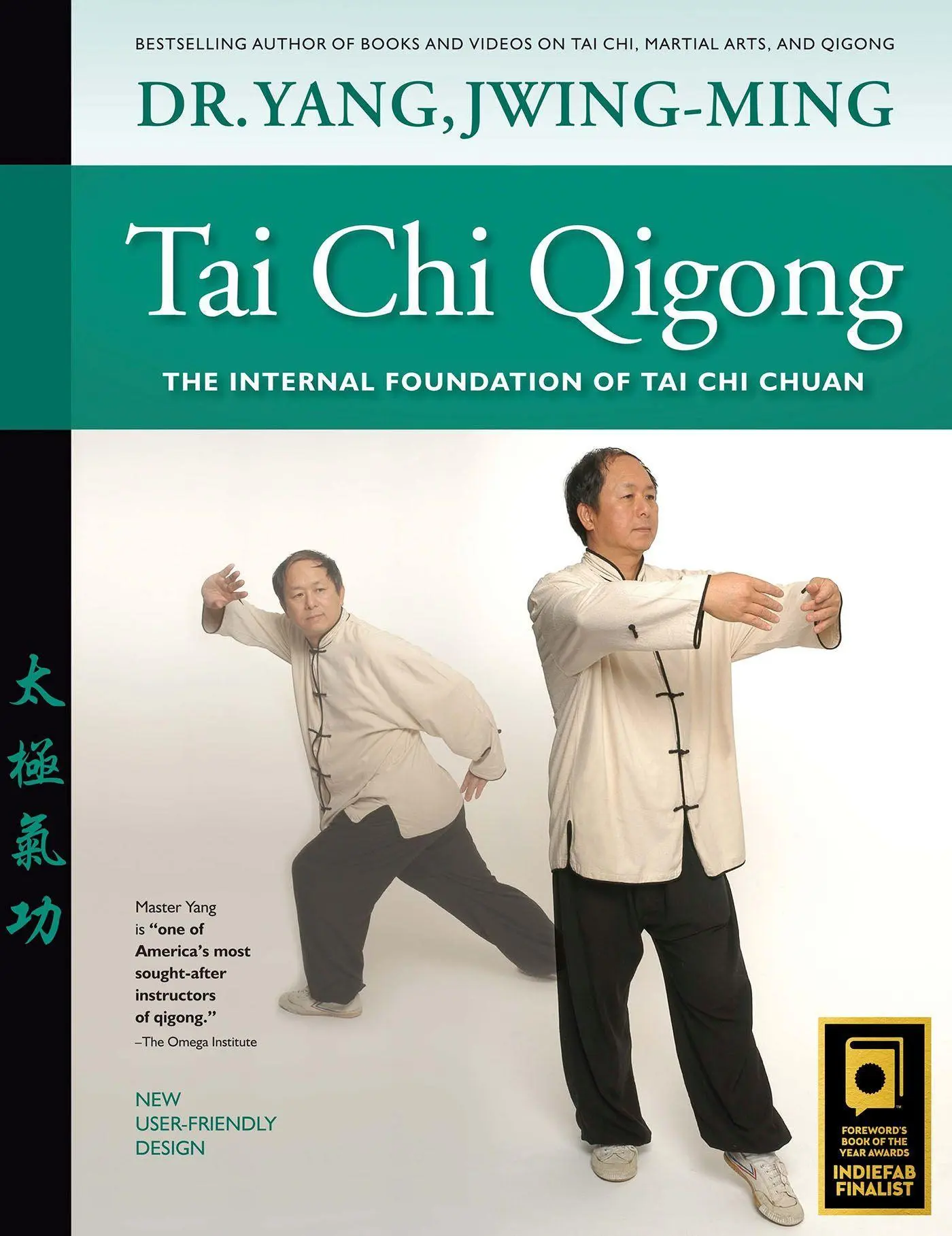 Cover: 9781594392689 | Tai CHI Qigong | The Internal Foundation of Tai CHI Chuan | Yang