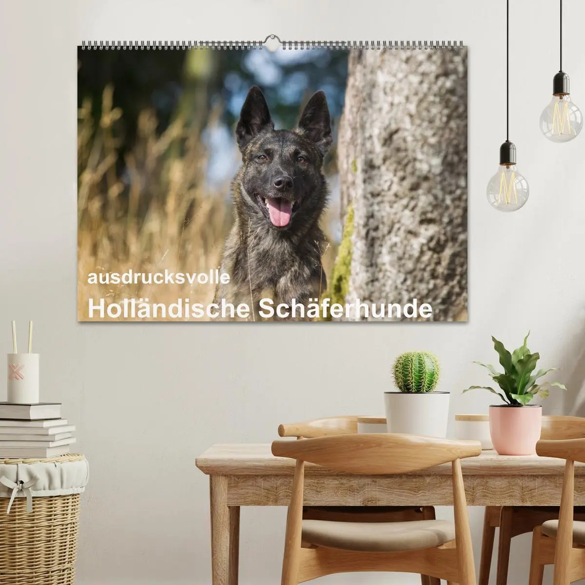 Bild: 9783516042689 | ausdrucksvolle Holländische Schäferhunde (Wandkalender 2026 DIN A2...