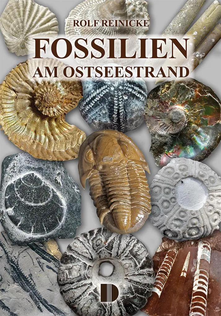 Cover: 9783944102689 | Fossilien am Ostseestrand | Rolf Reinicke | Taschenbuch | 80 S. | 2025