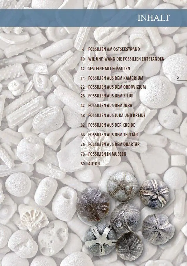 Bild: 9783944102689 | Fossilien am Ostseestrand | Rolf Reinicke | Taschenbuch | 80 S. | 2025