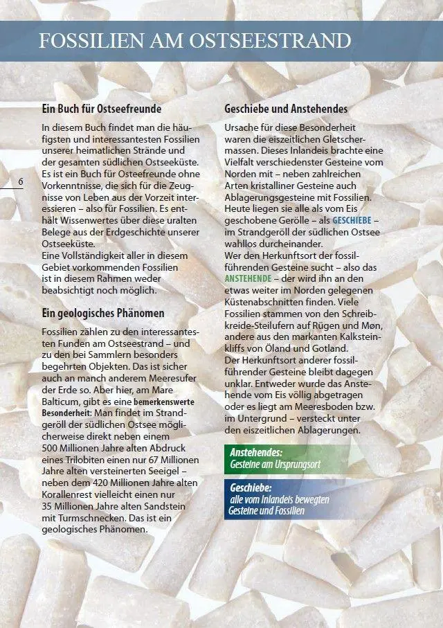Bild: 9783944102689 | Fossilien am Ostseestrand | Rolf Reinicke | Taschenbuch | 80 S. | 2025