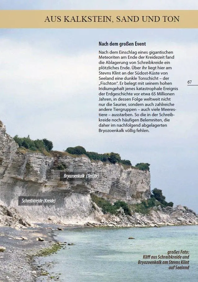 Bild: 9783944102689 | Fossilien am Ostseestrand | Rolf Reinicke | Taschenbuch | 80 S. | 2025
