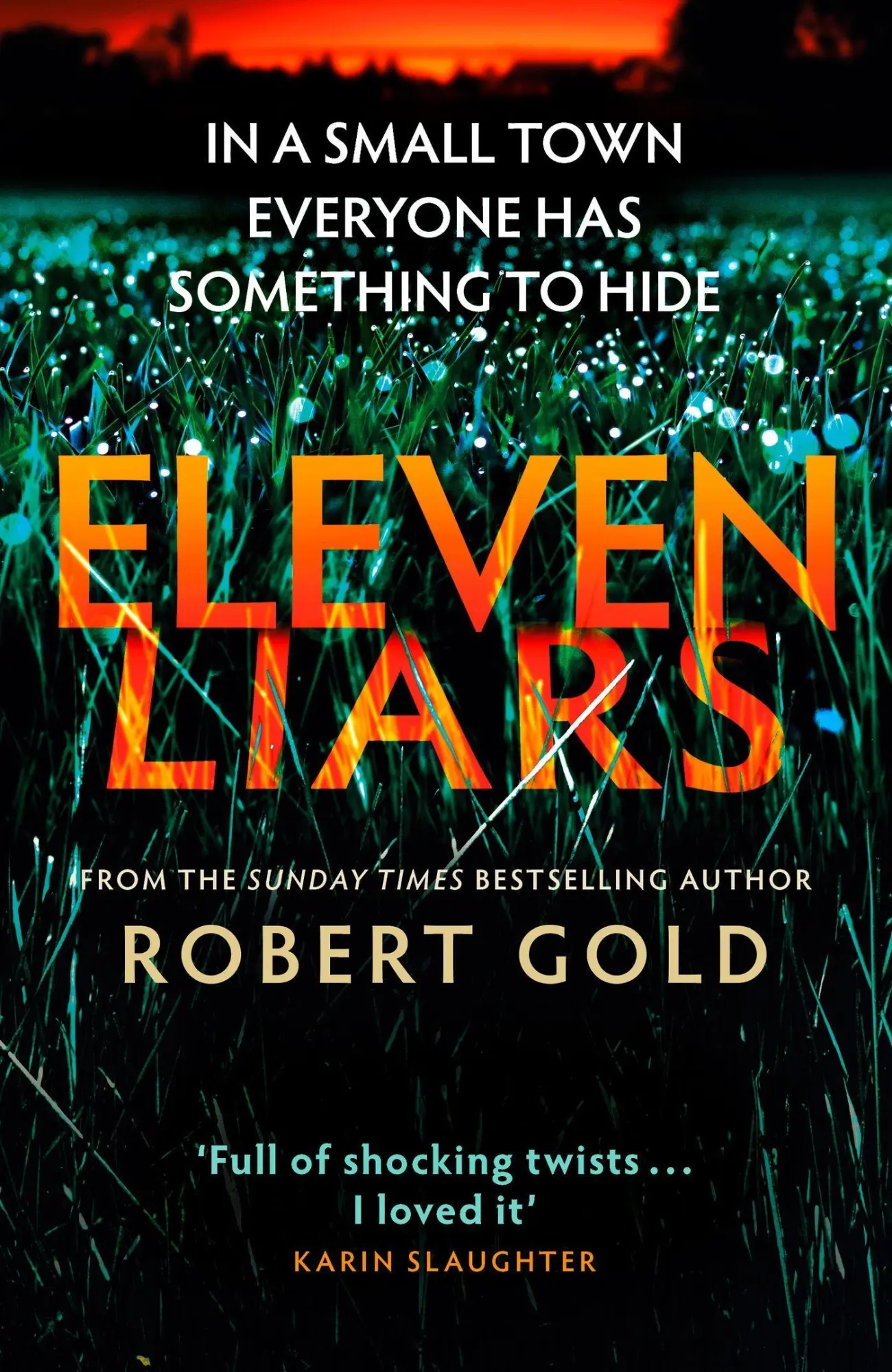 Cover: 9780751582789 | Eleven Liars | 'A plot full of shocking twists' KARIN SLAUGHTER | Gold