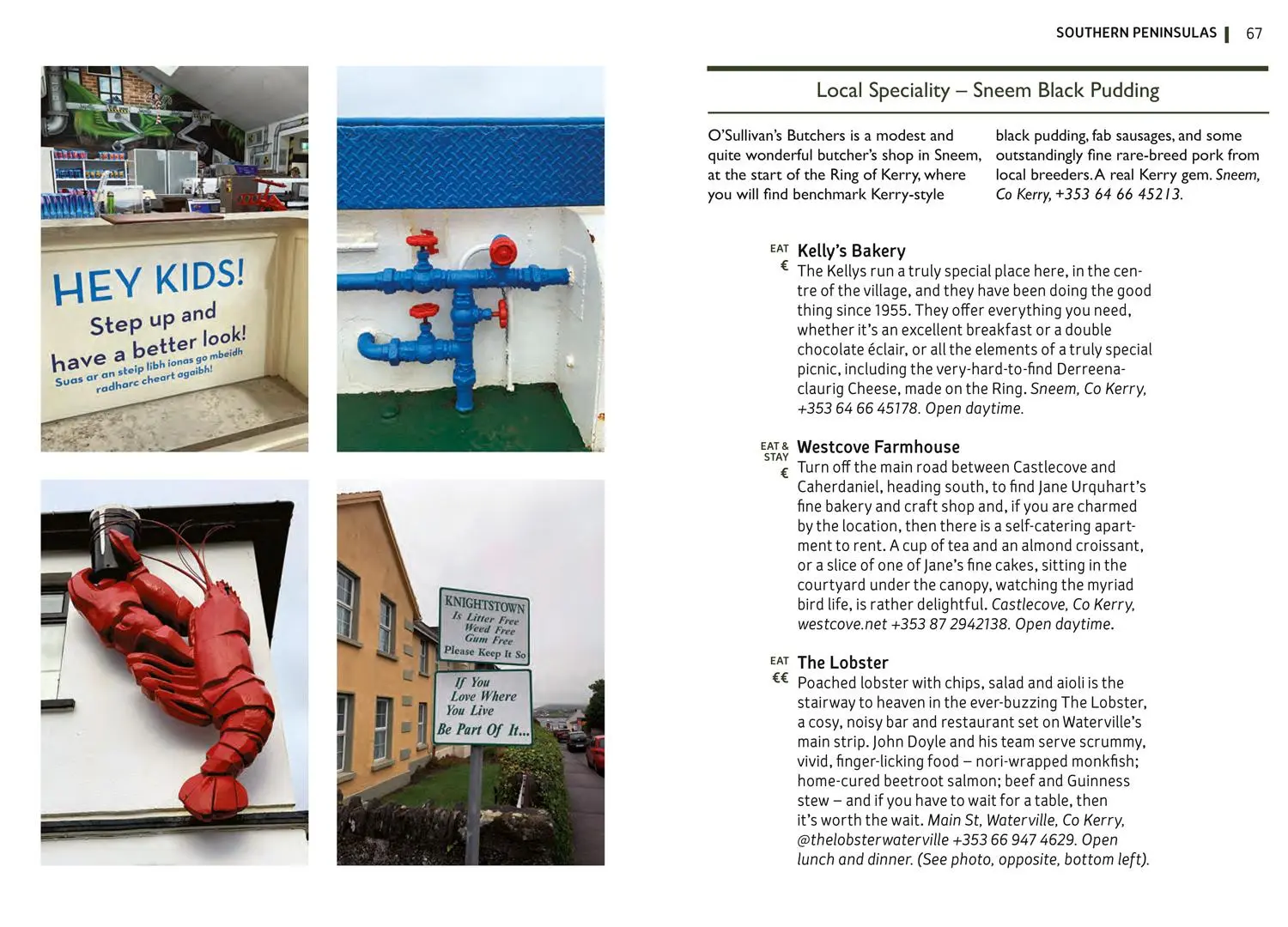 Bild: 9780008382889 | Wild Atlantic Way | Where to Eat and Stay | Collins Maps (u. a.)