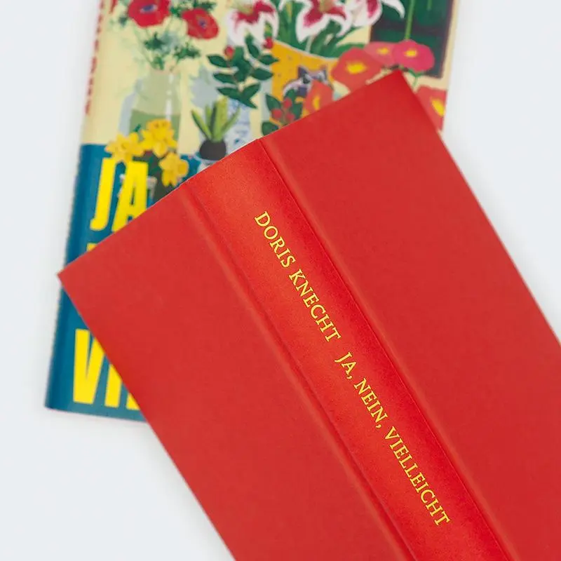 Bild: 9783446282889 | Ja, nein, vielleicht | Doris Knecht | Buch | 240 S. | Deutsch | 2025