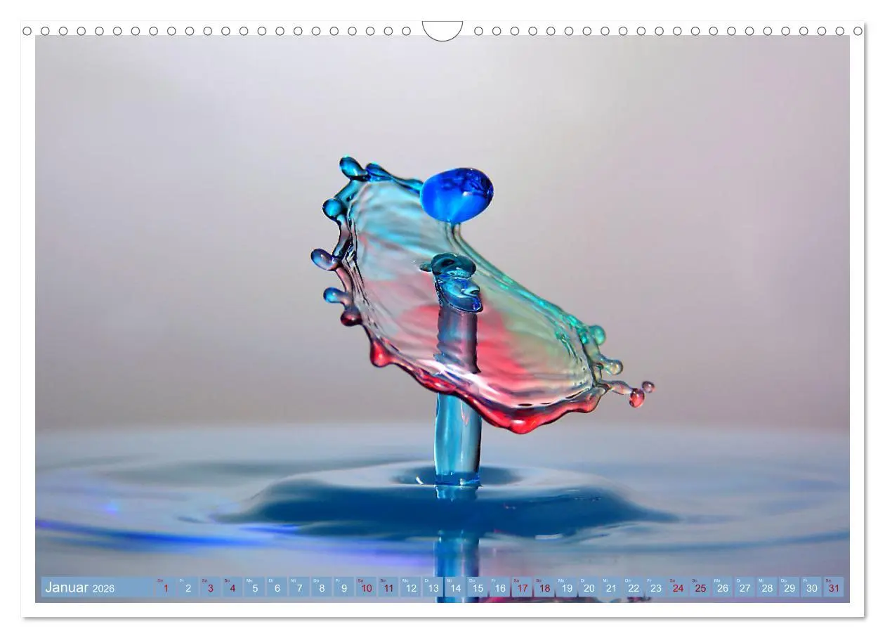 Bild: 9783457622889 | Getropft (Wandkalender 2026 DIN A3 quer), CALVENDO Monatskalender
