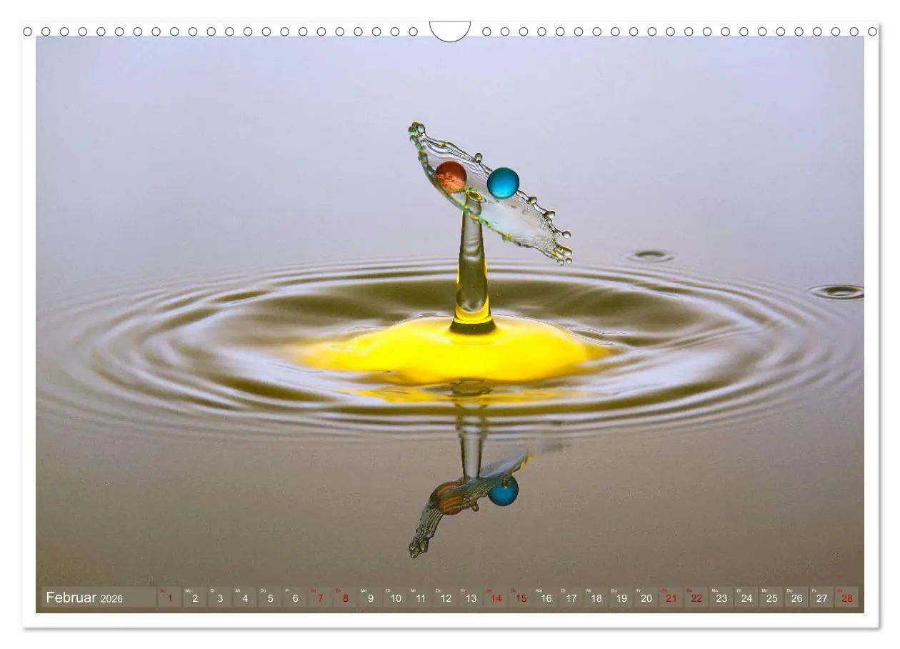 Bild: 9783457622889 | Getropft (Wandkalender 2026 DIN A3 quer), CALVENDO Monatskalender