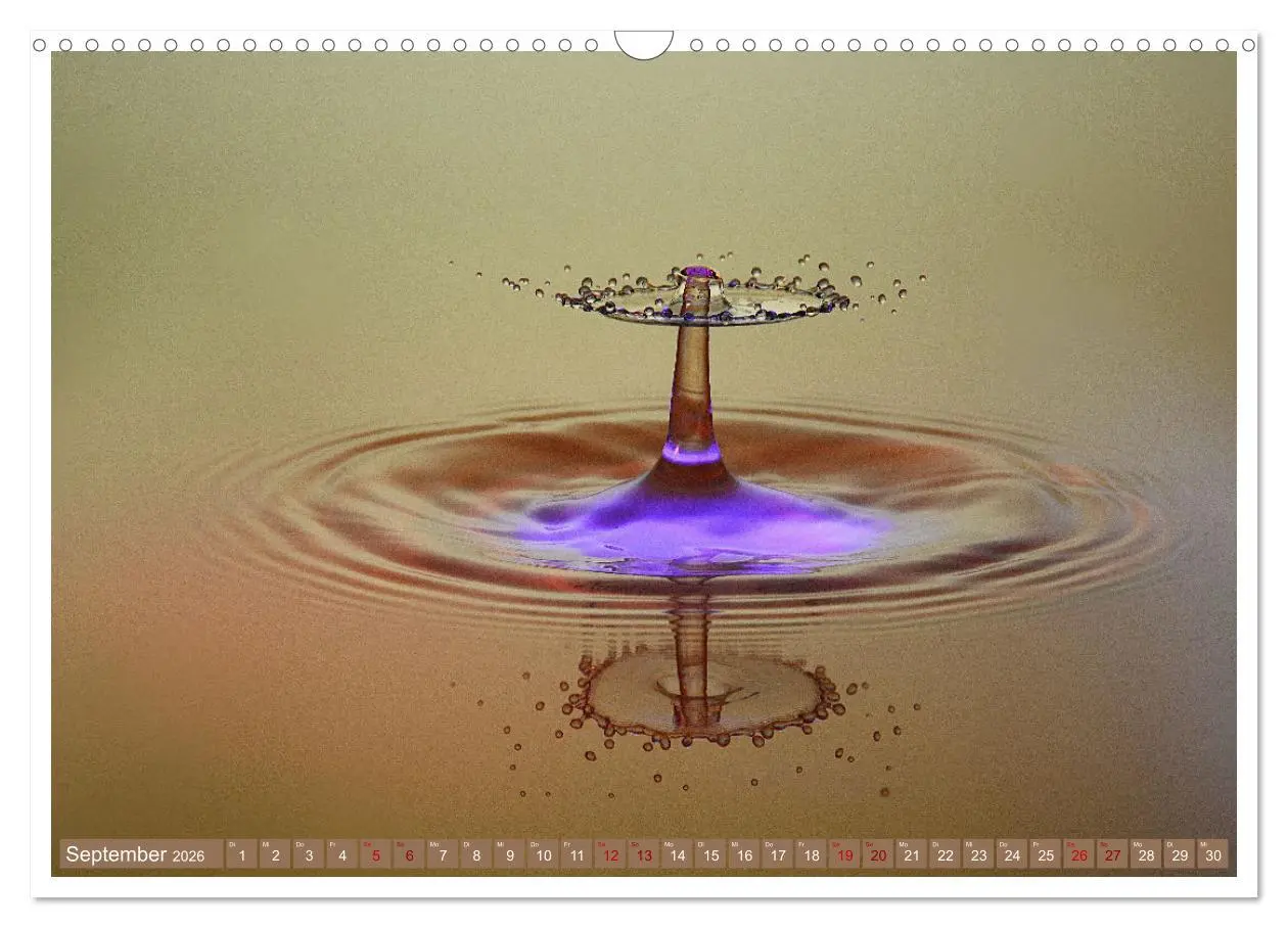 Bild: 9783457622889 | Getropft (Wandkalender 2026 DIN A3 quer), CALVENDO Monatskalender