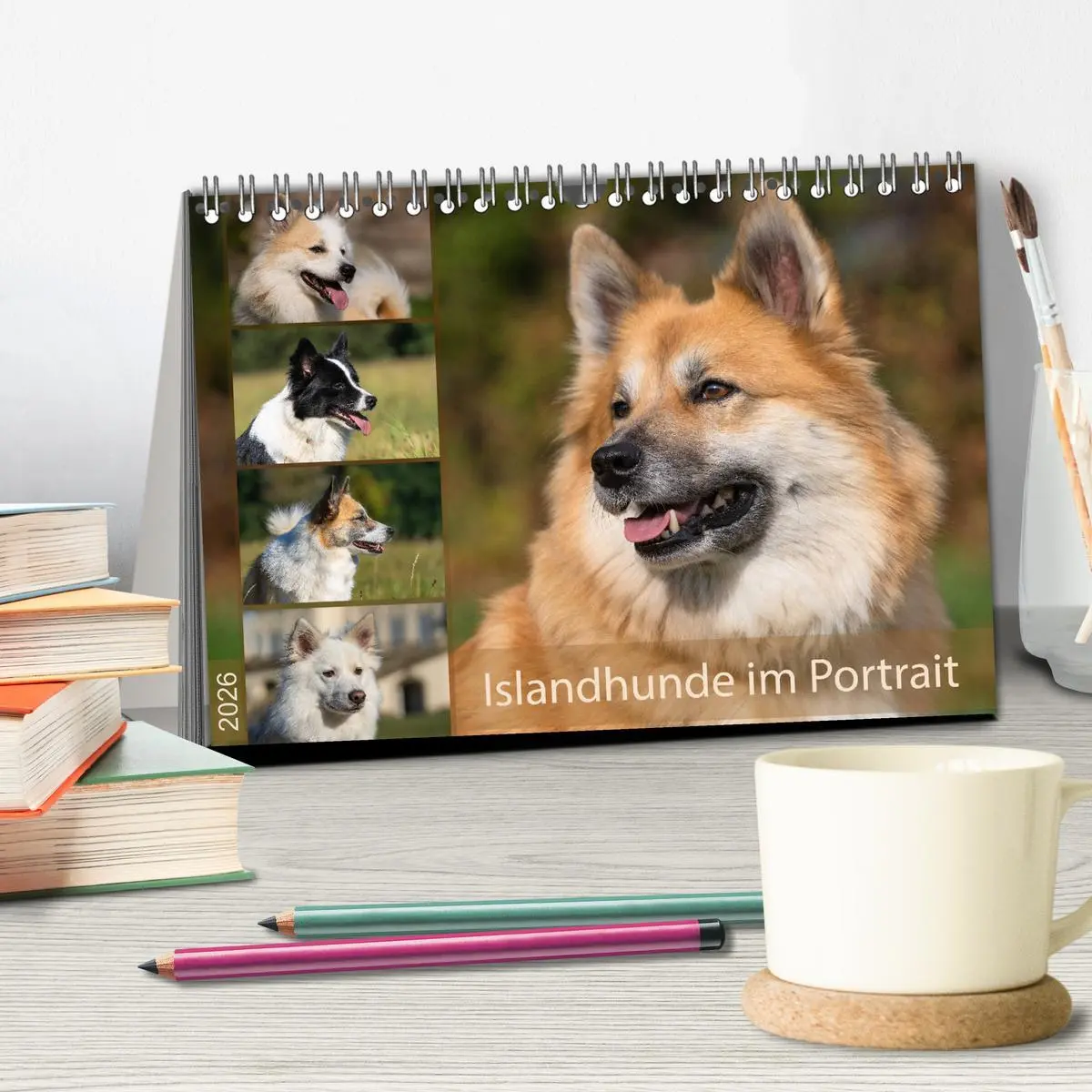 Bild: 9783457932889 | Islandhunde im Portrait (Tischkalender 2026 DIN A5 quer), CALVENDO...