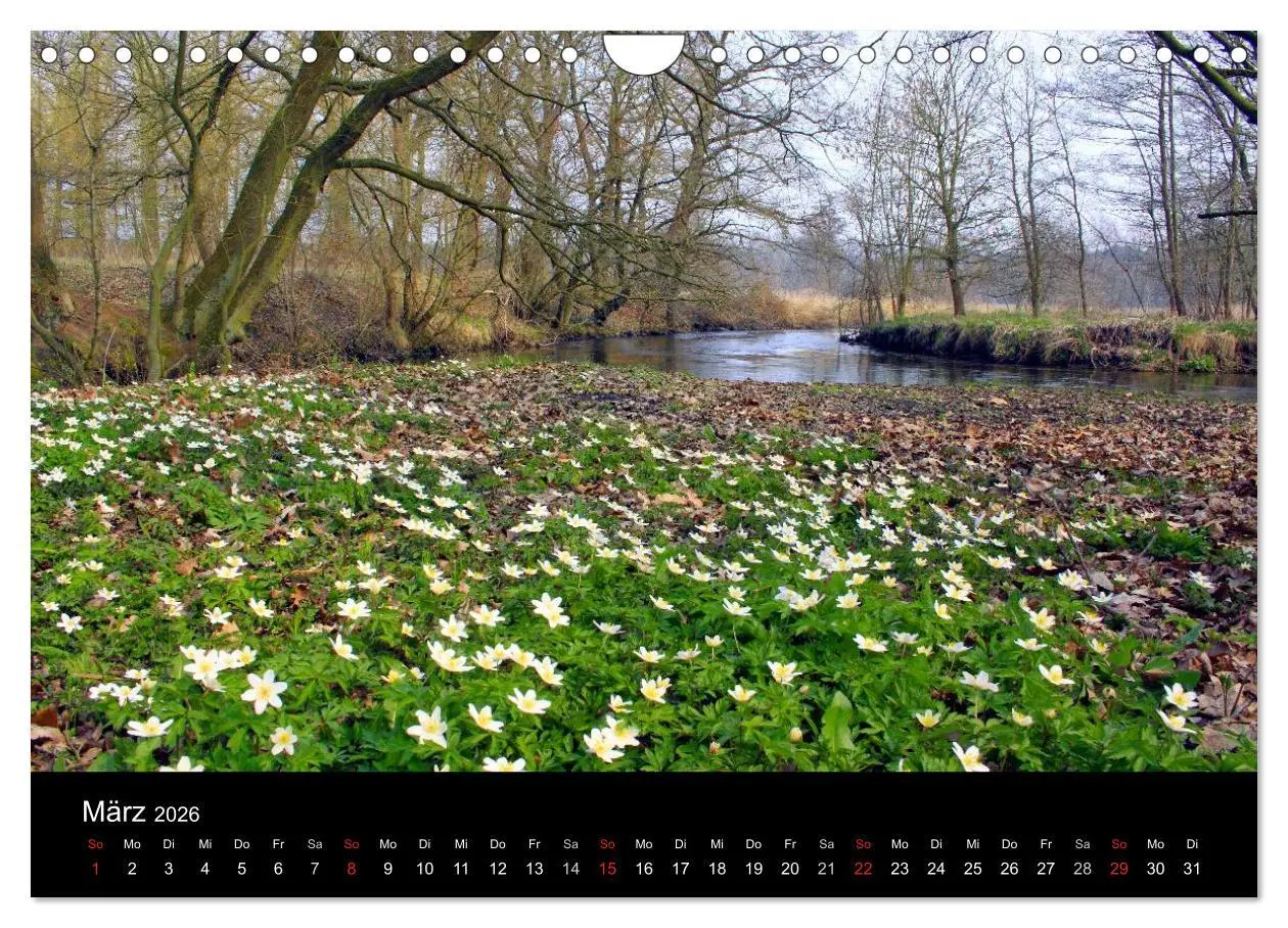 Bild: 9783516192889 | Lüneburg und die Lüneburger Heide (Wandkalender 2026 DIN A4 quer),...