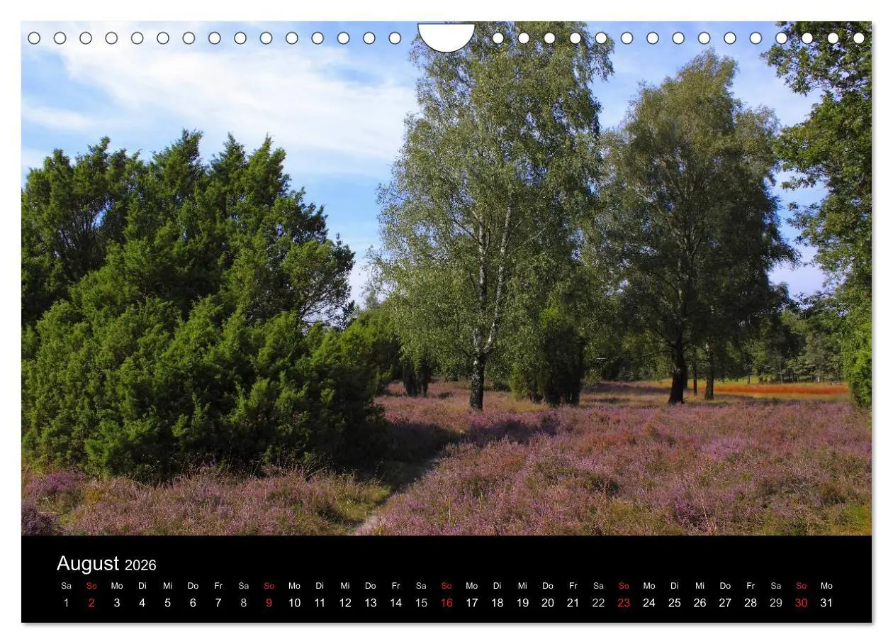 Bild: 9783516192889 | Lüneburg und die Lüneburger Heide (Wandkalender 2026 DIN A4 quer),...