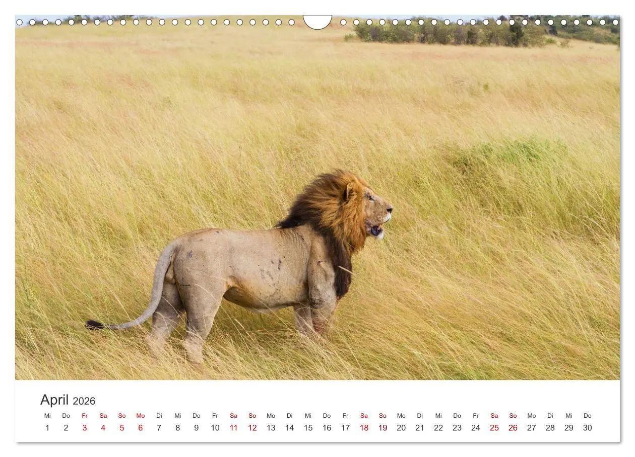 Bild: 9783457612989 | Kenia - Das wundervolle Land in Afrika. (Wandkalender 2026 DIN A3...