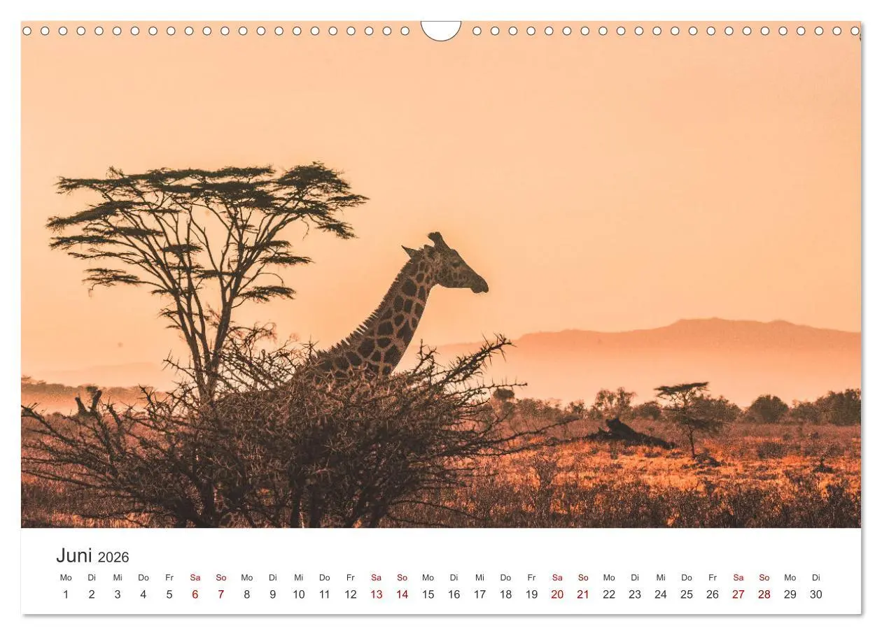 Bild: 9783457612989 | Kenia - Das wundervolle Land in Afrika. (Wandkalender 2026 DIN A3...