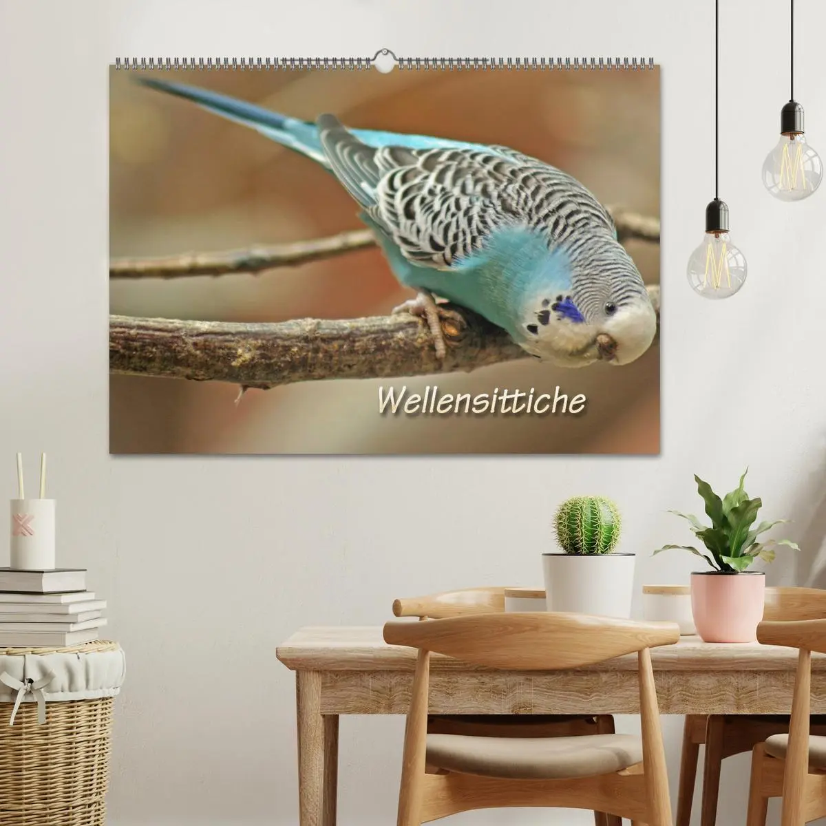 Bild: 9783516182989 | Wellensittiche (Wandkalender 2026 DIN A2 quer), CALVENDO...