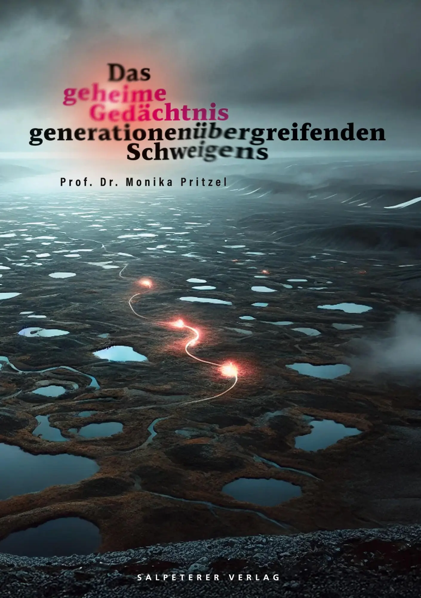 Cover: 9783949122989 | Das geheime Gedächtnis generationenübergreifenden Schweigens | Pritzel