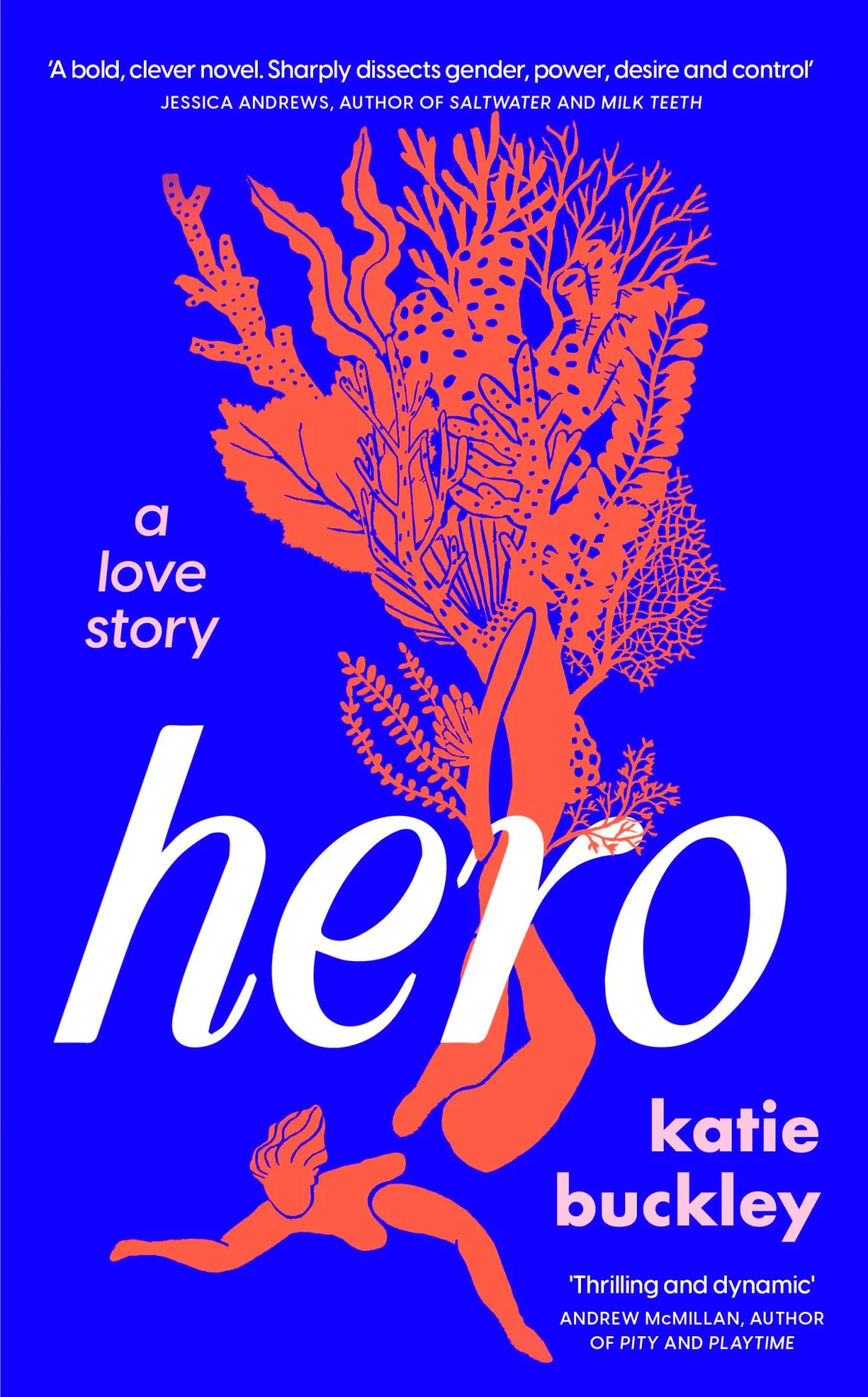 Cover: 9781035413089 | Hero | Katie Buckley | Taschenbuch | 240 S. | Englisch | 2025