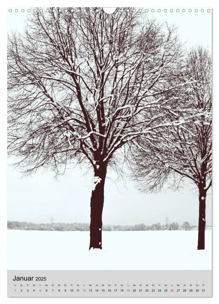 Bild: 9783435963089 | Natur monochrom Die besondere Wirkung (Wandkalender 2025 DIN A3...