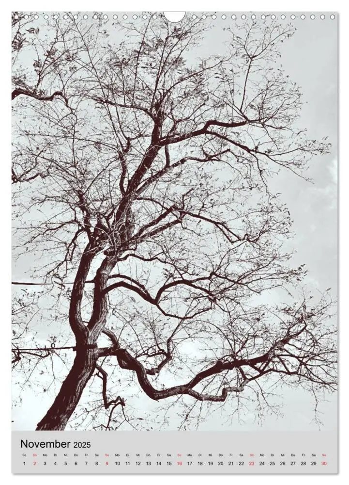 Bild: 9783435963089 | Natur monochrom Die besondere Wirkung (Wandkalender 2025 DIN A3...