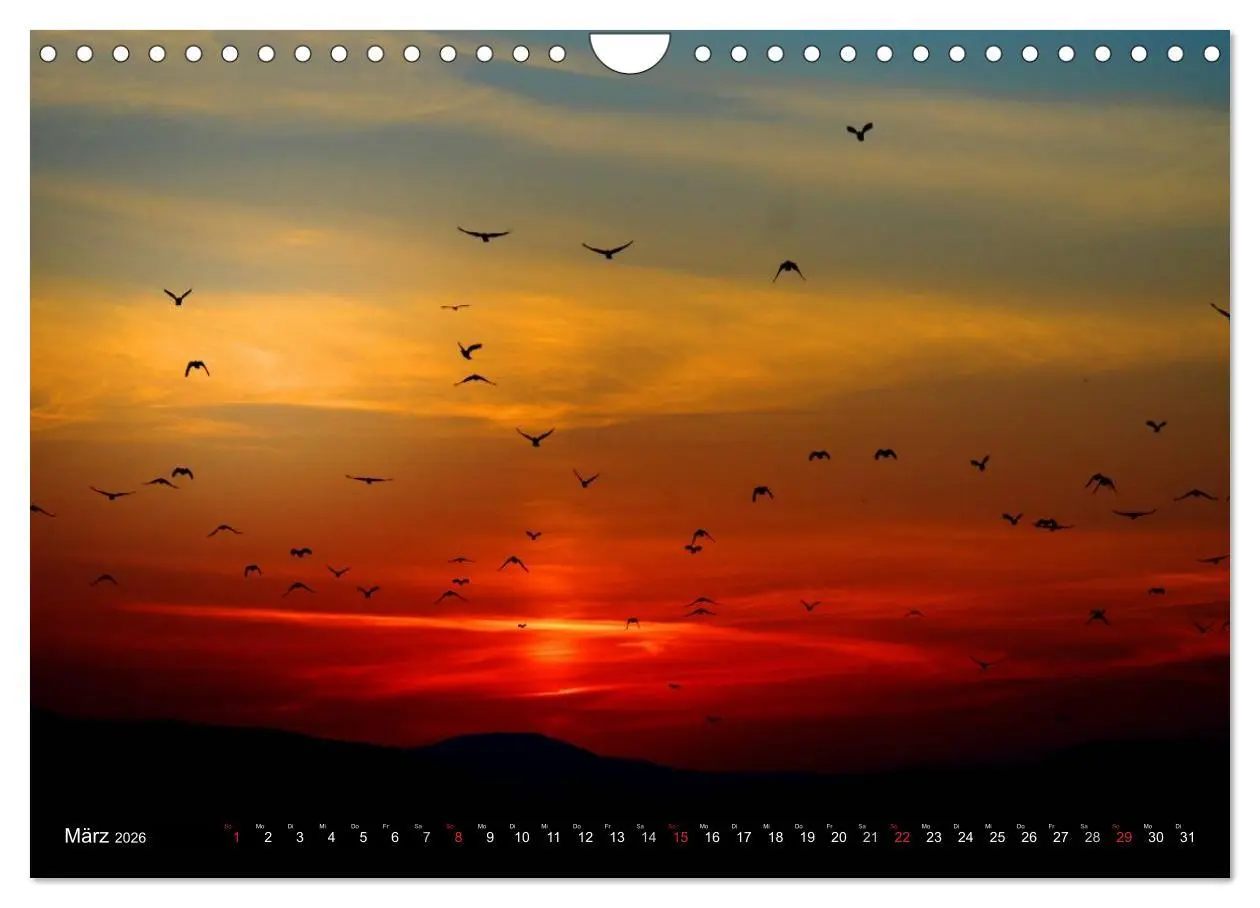 Bild: 9783516143089 | Sonnenuntergänge ¿ Traumhafte Farbspiele (Wandkalender 2026 DIN A4...