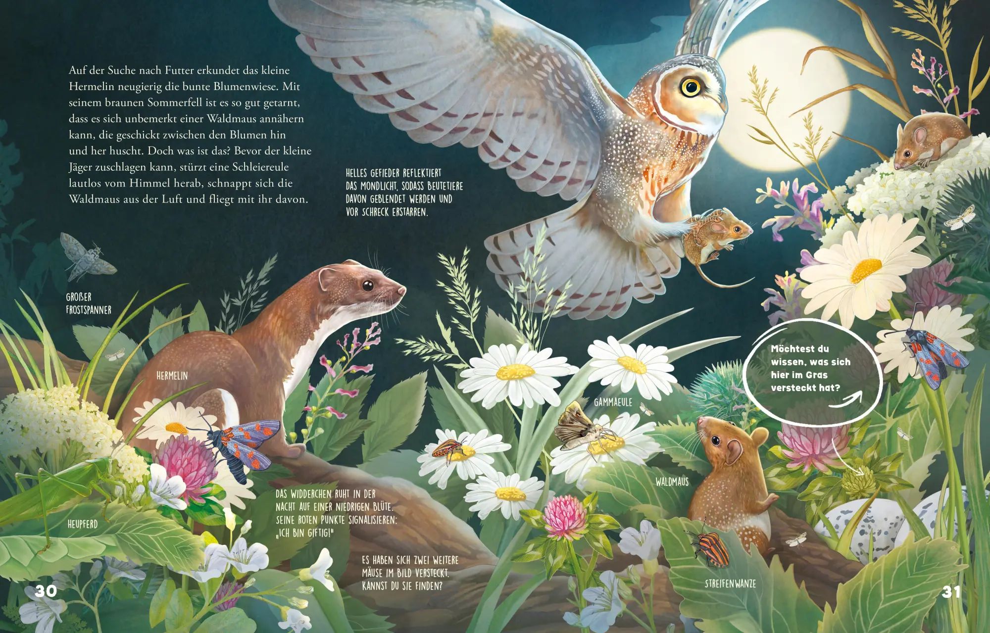 Bild: 9783707453089 | Was schleicht durch die Nacht? | Jana Walczyk | Buch | 48 S. | Deutsch