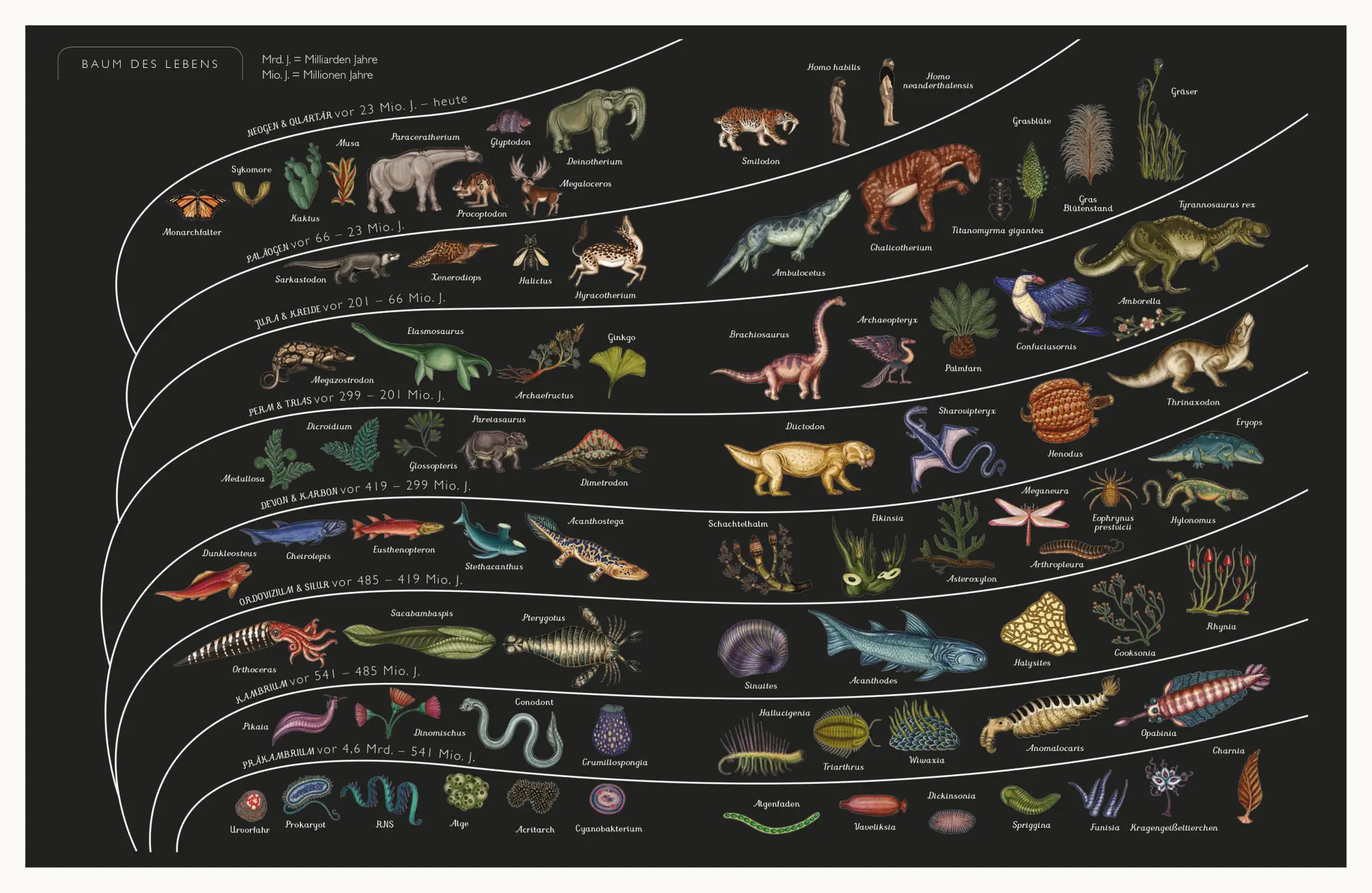 Bild: 9783791373089 | Die Entstehung des Lebens. Evolution | Eintritt frei! | Munro (u. a.)