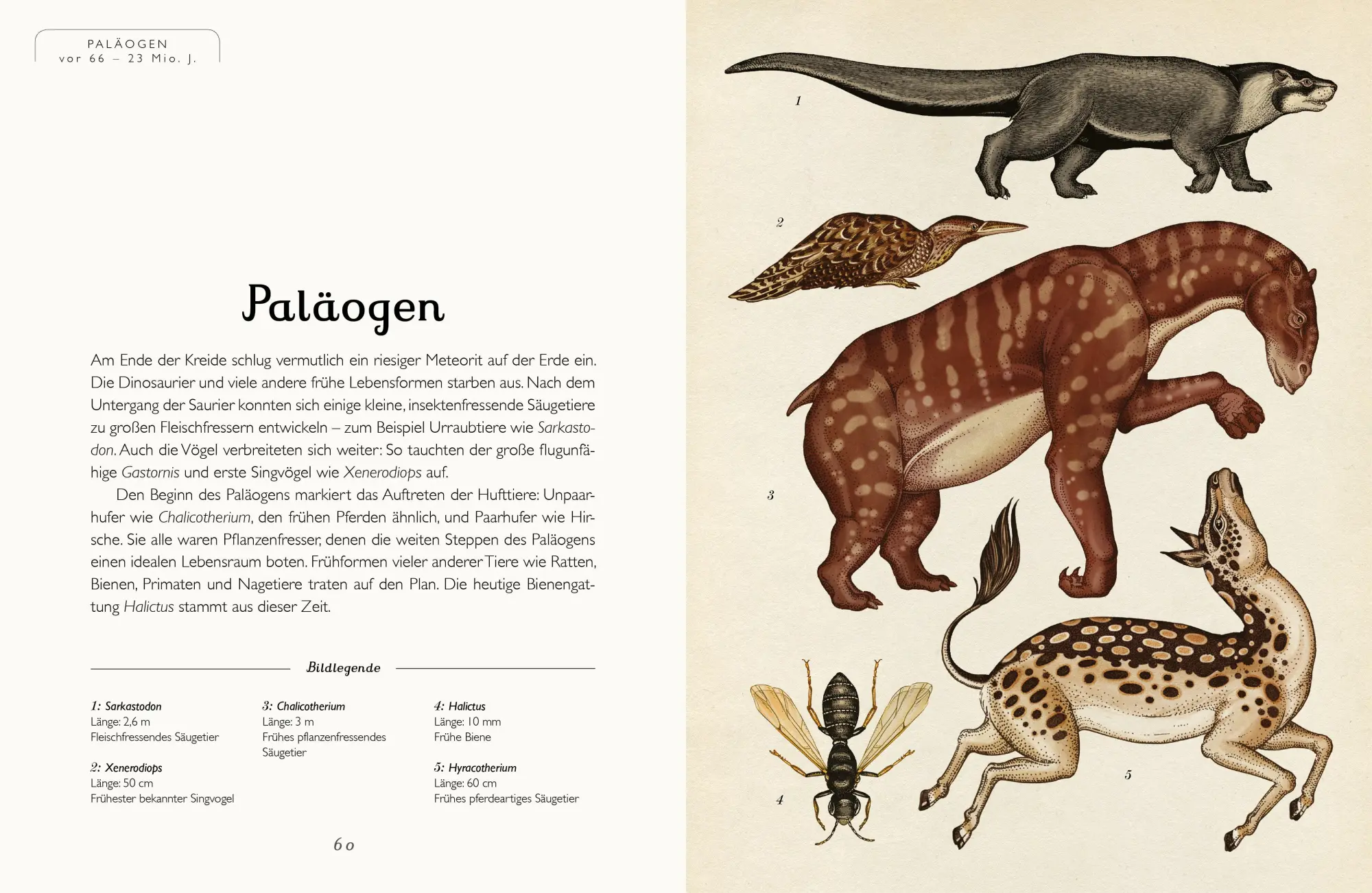 Bild: 9783791373089 | Die Entstehung des Lebens. Evolution | Eintritt frei! | Munro (u. a.)