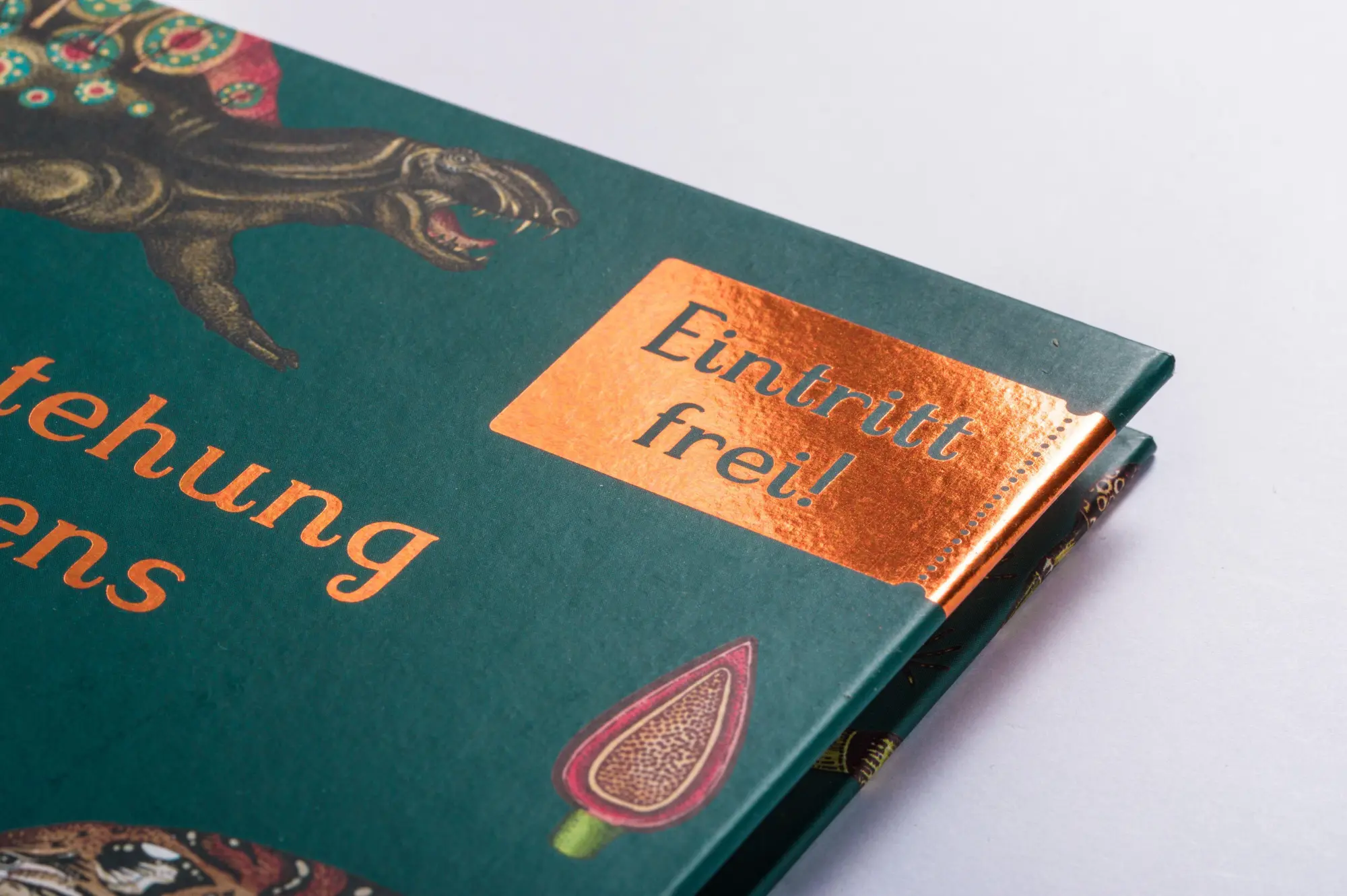 Bild: 9783791373089 | Die Entstehung des Lebens. Evolution | Fiona Munro (u. a.) | Buch