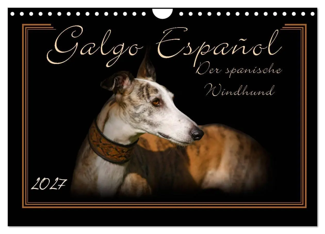 Cover: 9783594113189 | Galgo Español 2027- Der spanische Windhund (Wandkalender 2027 DIN...
