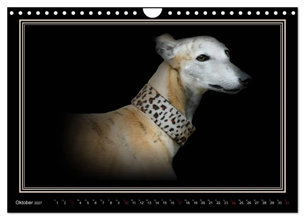 Bild: 9783594113189 | Galgo Español 2027- Der spanische Windhund (Wandkalender 2027 DIN...