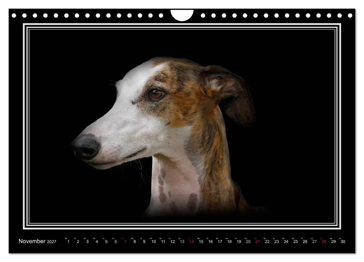 Bild: 9783594113189 | Galgo Español 2027- Der spanische Windhund (Wandkalender 2027 DIN...