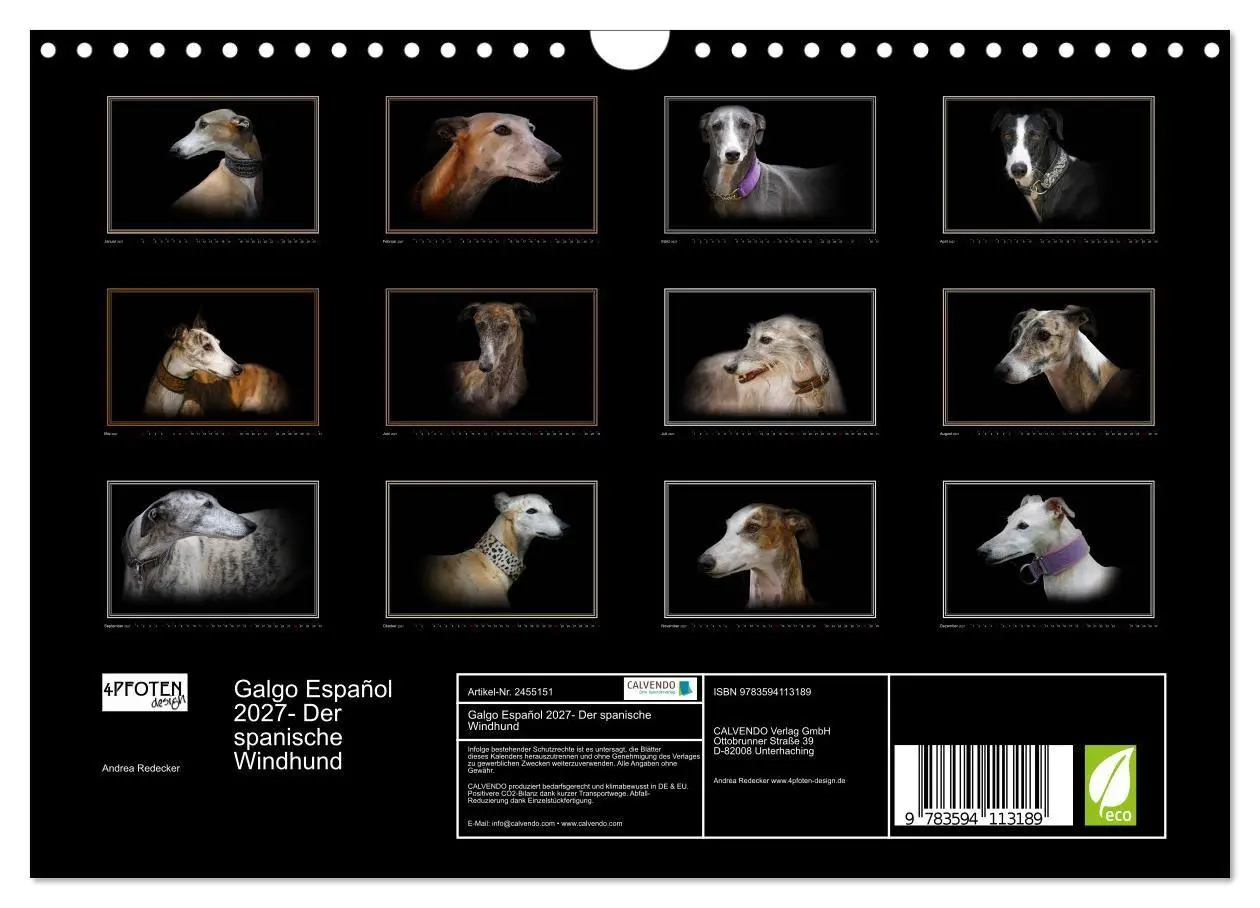 Bild: 9783594113189 | Galgo Español 2027- Der spanische Windhund (Wandkalender 2027 DIN...