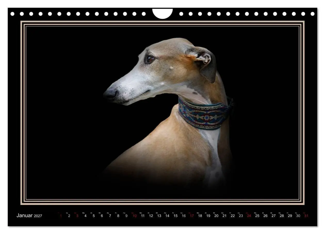 Bild: 9783594113189 | Galgo Español 2027- Der spanische Windhund (Wandkalender 2027 DIN...